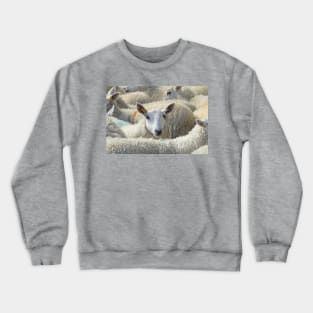 Who Ewe Looking at? Crewneck Sweatshirt